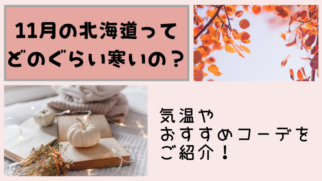 北海道の11月 気温や服装は 車はスタッドレスタイヤ必須です のぐのぶろぐ